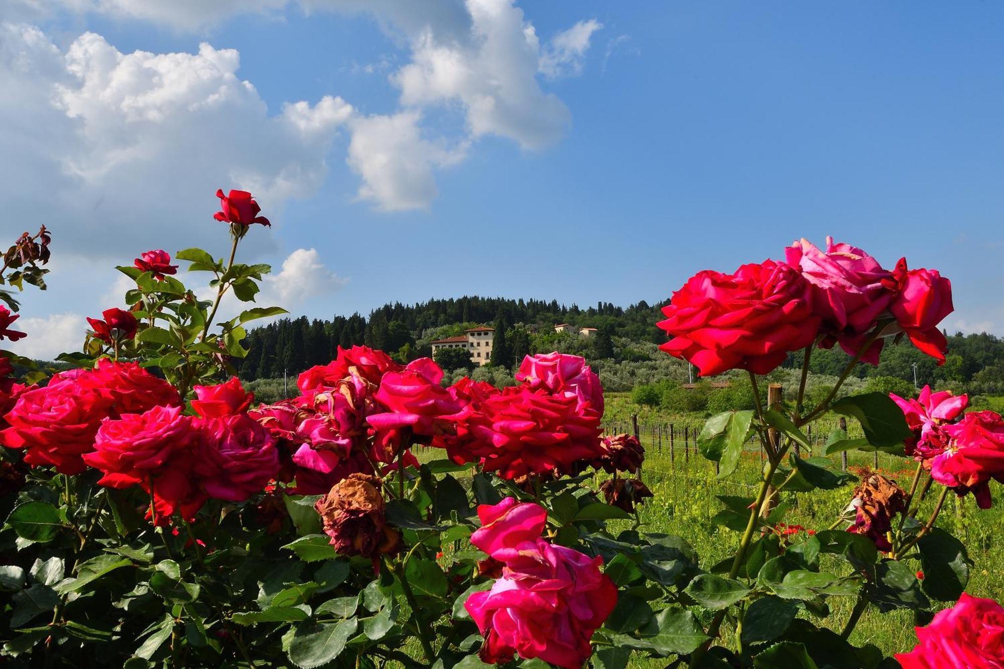 Villa Silvia Rignano sullʼArno Exteriör bild